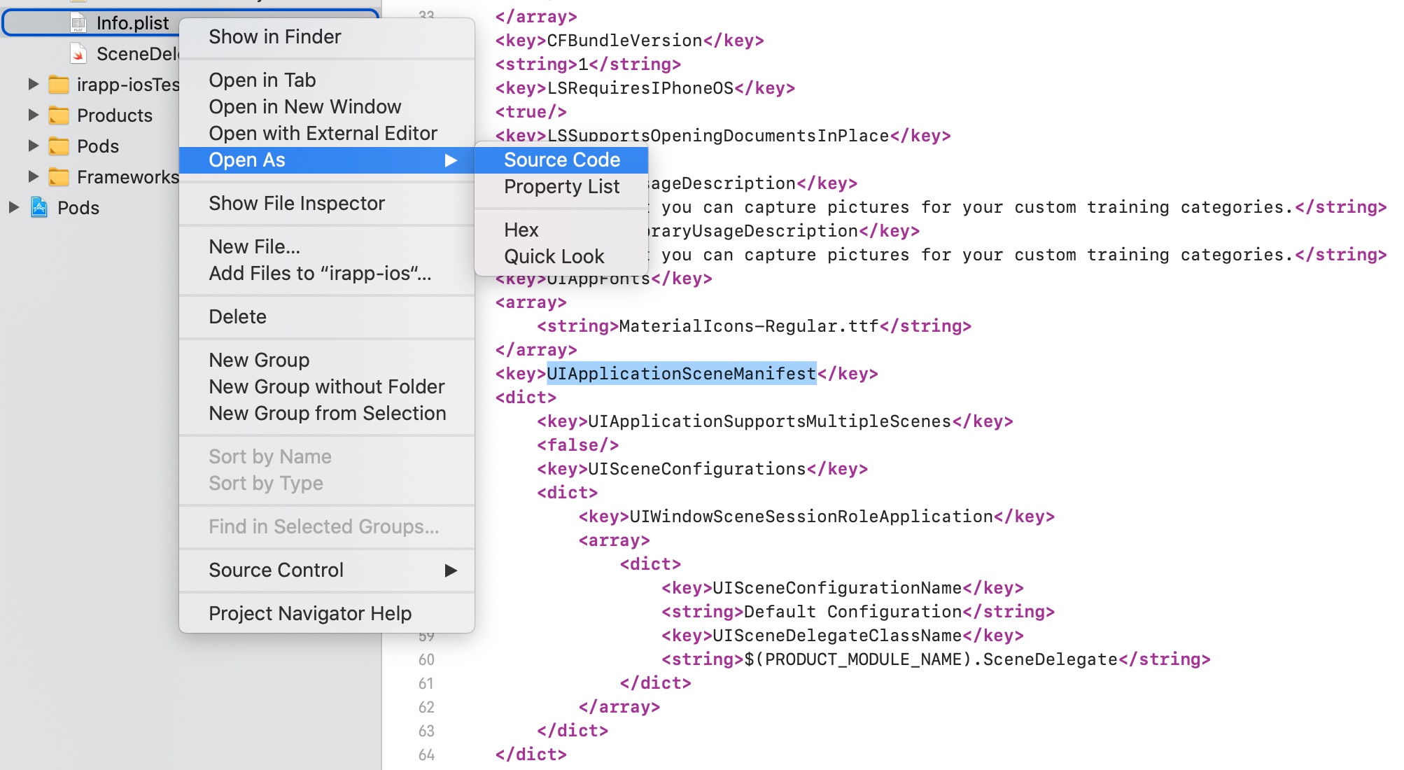 Öffnen der Info.plist als Quelltext
